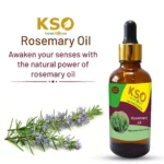 Rosemary Oil – 30 ml – Natural Aromatherapy & Hair Care - Image 2