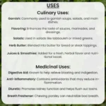 Parsley Leaves – 100g - Image 5