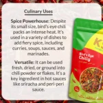 Bird’s Eye Chilli (Dried) - Image 6