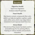 Bay Leaf / Tejpatta 50gm - Image 6