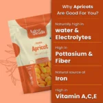 APRICOT - Image 4