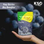 Blueberry 100gm - Image 3