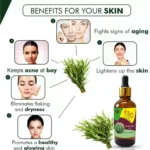 Rosemary Oil – 30 ml – Natural Aromatherapy & Hair Care - Image 5