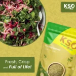 Parsley Leaves – 100g - Image 3