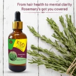 Rosemary Oil – 30 ml – Natural Aromatherapy & Hair Care - Image 3
