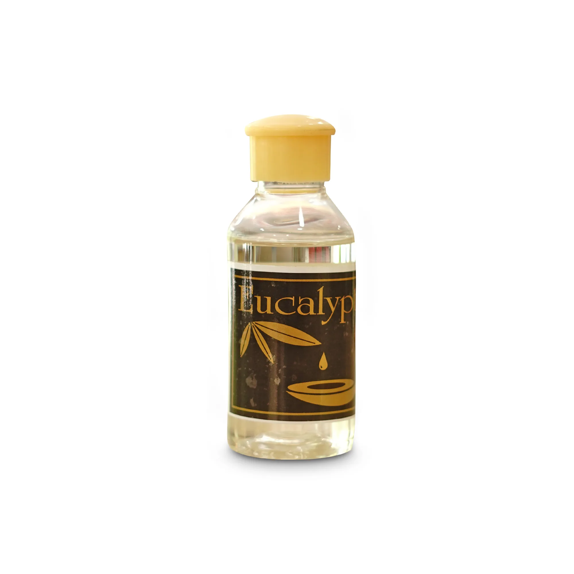 DSC06250.webp Eucalyptus Oil 100ml - Image 1