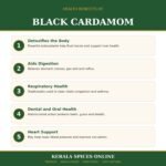 Premium Quality Black Cardamom 80gm - Image 5