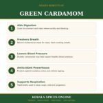 Premium Quality Cardamom 8.5mm- 100gm - Image 5