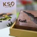 Kerala Map Wooden Spice Gift Box – Handcrafted Sheesham Kerala Wooden Spice Gift Box with 9 Premium Whole Spices & Glass Window - Image 5