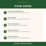 Premium Quality Staranise-50gm - Image 5